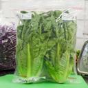 Handgards Low Density Clear Reclosable Zipgrad Bag - Flat Pack, 13 x 15.75 inch -- 250 per case.