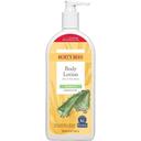 Burts Bees Aloe Shea Butter Body Lotion for Sensitive Skin, 12 Ounce -- 12 per case