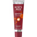 Burts Bees Mandarin Granita Squeezy Tinted Balm, 0.43 Ounce -- 36 per case