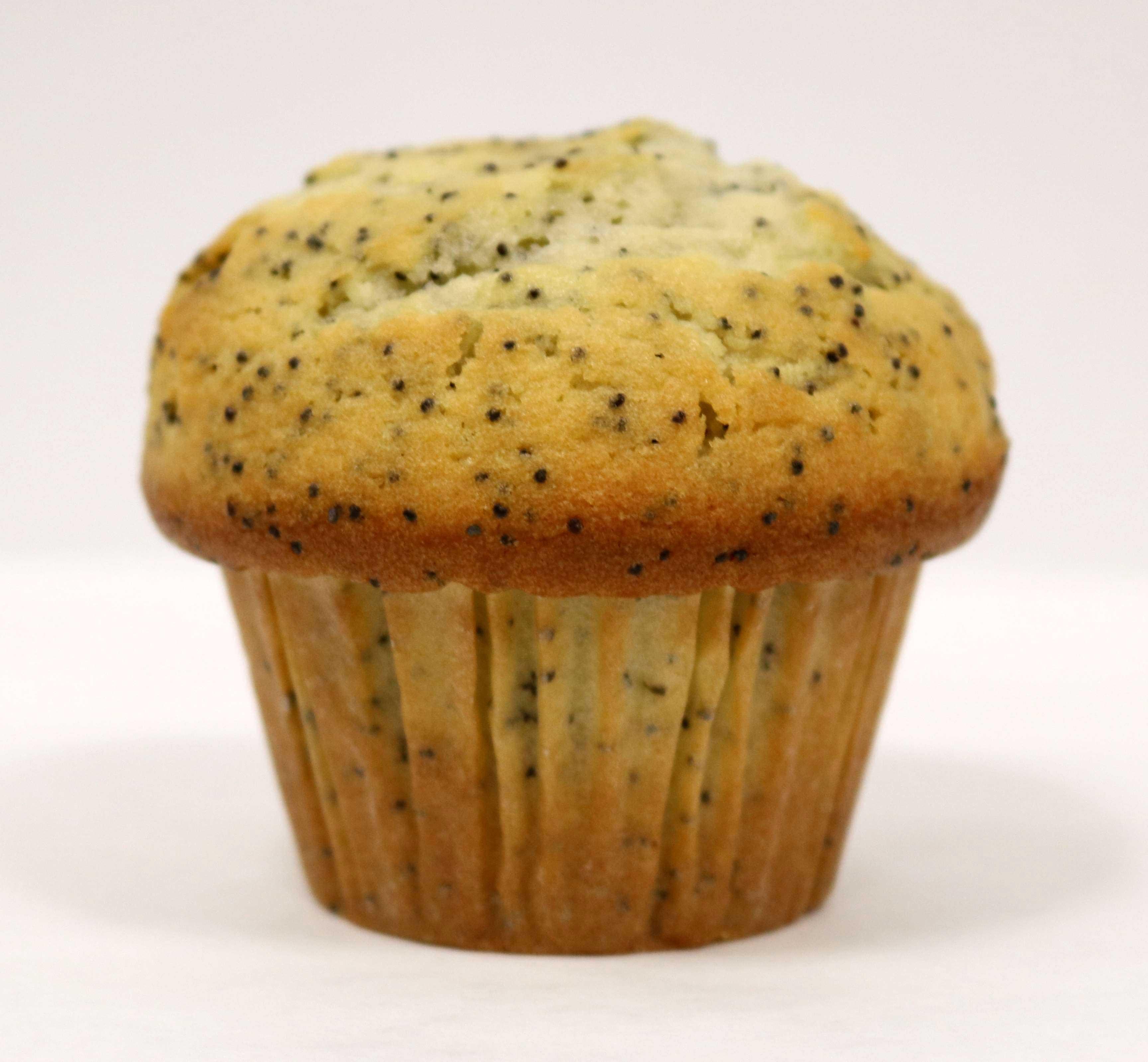 Product gallery 579188711