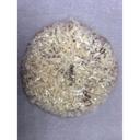 Great Kitchen Cheese Pizza, 24 count