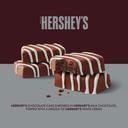 Hersheys Chocolate Enrobed Cake Bite, 7.2 Ounce -- 12 per case