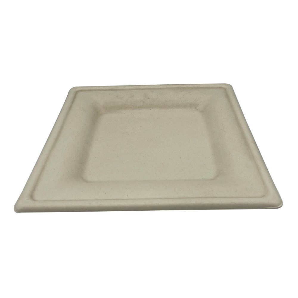 Empress Earth Natural White Square Heavy Weight Molded Fiber Plate, 10 x 10 inch -- 250 per case.