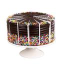 Davids Cookies 10 inch Premier Chocolate Rainbow Cake, 8.25 Pound -- 2 per case