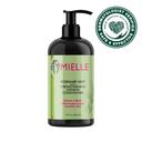 Mielle Organics Rosemary Mint Strengthening Leave-In Conditioner, 12 Fluid Ounce -- 6 per case
