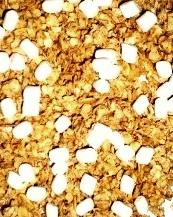 Product thumb gallery 1492832