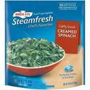Birds Eye Steamfresh Creamed Spinach, 10.8 Ounce -- 7 per case