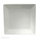Sant Andrea Fusion Fine Porcelain Undecoratd Plate, 9.75 inch -- 12 per case.
