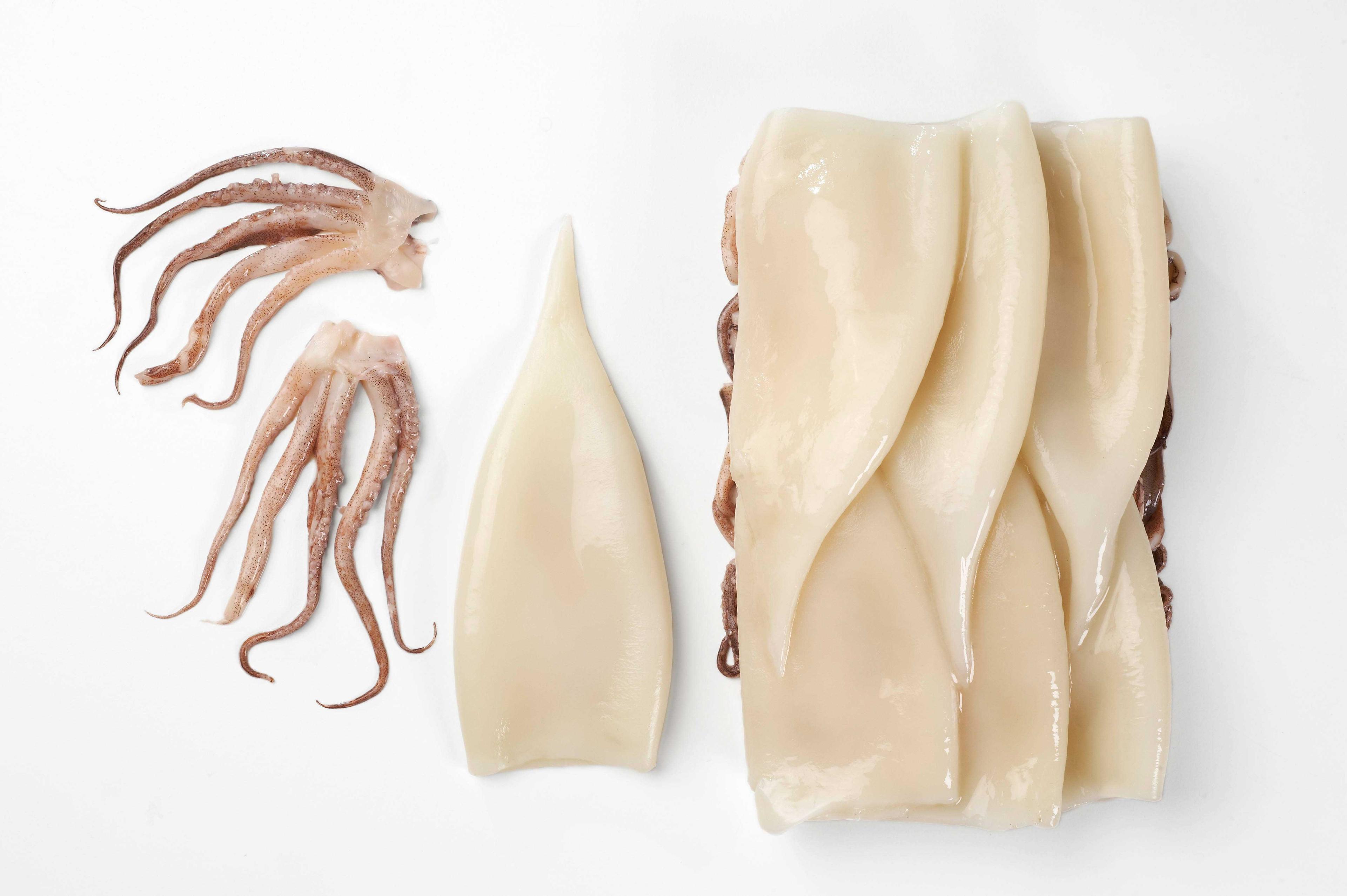 Product gallery 1448648