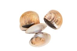 Product thumb gallery 1447712