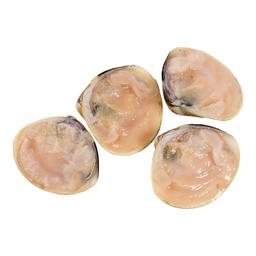 Product thumb gallery 1447736