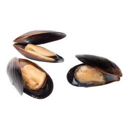 Product thumb gallery 1447997