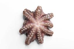 Product thumb gallery 1509137