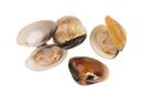 Pana Pesca Clam Hard Shell Fully Cooked Skin Pack, 14.1 Ounce -- 12 per case.