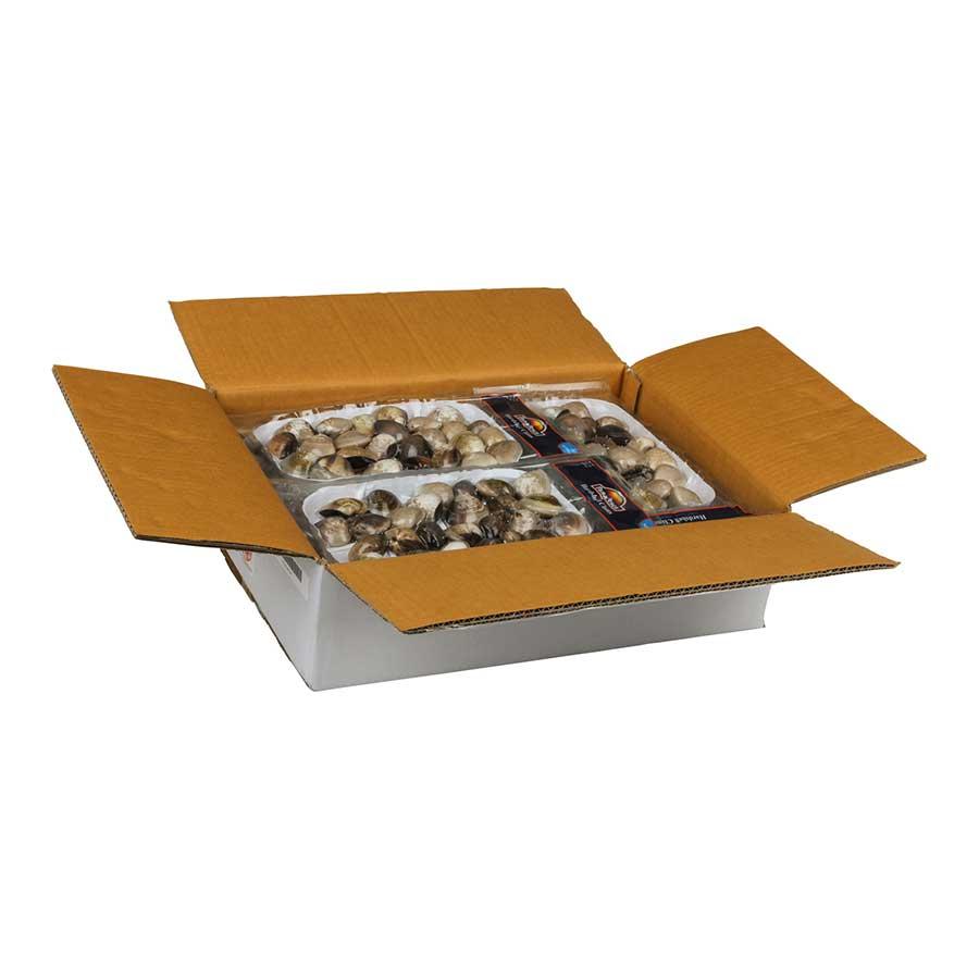 Product gallery 1566521