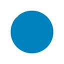 National Checking Blue Circle Permanent Label, 5 inch -- 1000 per case.