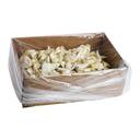 Windsor Golden Tiger Chicken Won Ton, 0.5 Ounce -- 200 per case.