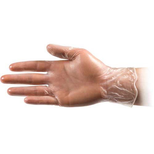 Daymark Vinyl Powder Free Large Glove, 100 count per pack -- 10 per case.