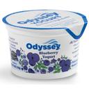 Odyssey Blueberry Yogurt, 4 Ounce -- 12 per case