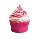 Gobel Stainless Steel Icing Tips Set with Crystal Box, 5.1 inch x 2.7 inch x 3.3 inch