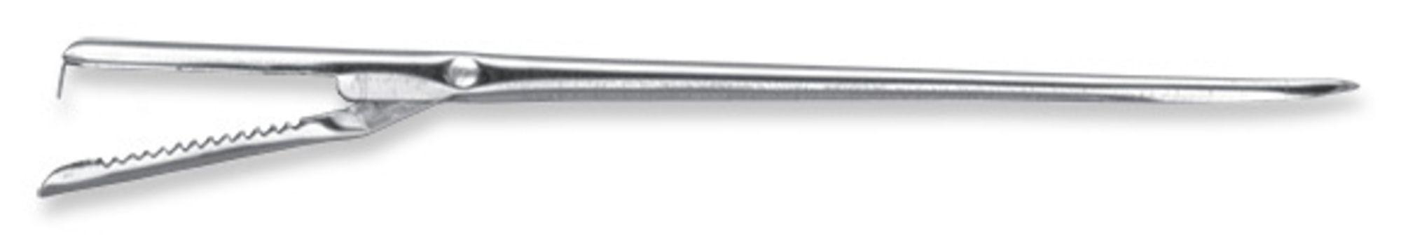 Product gallery 3903701