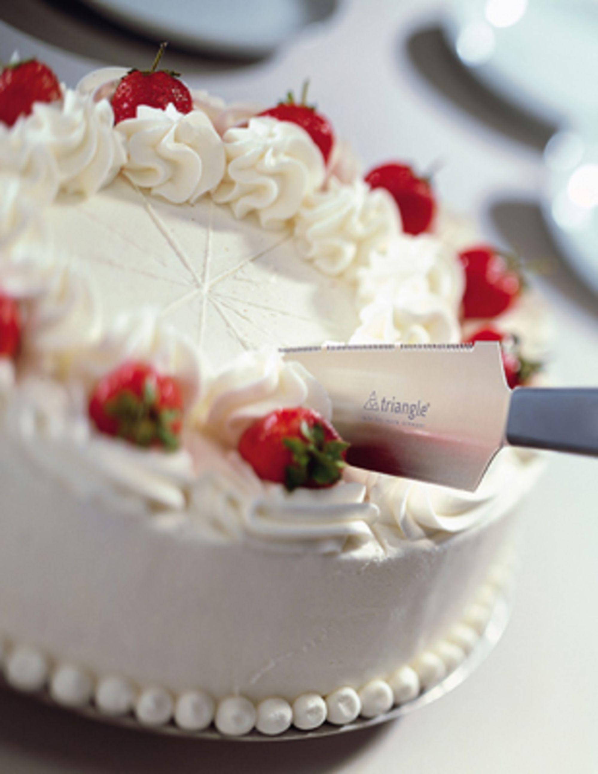 Product gallery 3905219