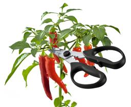 Product thumb gallery 3906377
