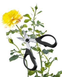 Product thumb gallery 3906380