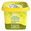 I Cant Believe Its Not Butter Regular Butter Spread with Olive Oil, 15 Ounce -- 8 per case.