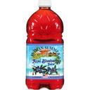 Indian Summer Acai Blueberry Flavored Apple Juice, 64 Ounce -- 8 per case