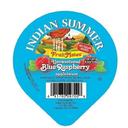 Indian Summer Blue Raspberry Applesauce, 4.5 Ounce -- 96 per case