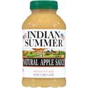 Indian Summer Natural Applesauce, 48 Ounce -- 8 per case