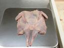Foster Farms Cut Down Back Semi Boneless Quail, 3.8 Ounce -- 6 per case.