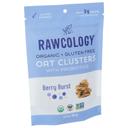 Rawcology Organic Berry Burst Oat Clusters with Probiotics, 3.2 Ounce -- 6 per case