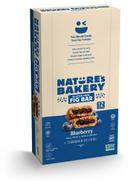 Nature's Bakery Gluten Free Blueberry Fig Bar, 2 Ounce -- 84 per case