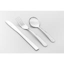 World Tableware Aspire Light Weight Dinner Knife, 8 inch -- 12 per case