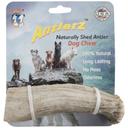 QT Dog Antlerz Large Dog Chew -- 12 per case