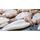 Frozen Seafood Qui Loligo Tubes and Tentacles, 2.5 Pound -- 20 per case.