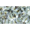 Frozen Seafood Headless Shell On Black Tiger Shrimp, 4 Pound -- 6 per case.