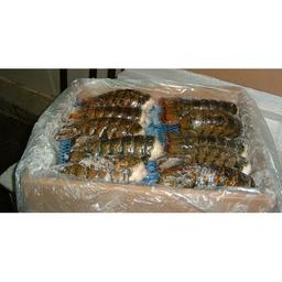 Product thumb gallery 3751951