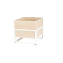 Cal-Mil Blonde Ice Housing with Clear Pan, 6.75 inch Width x 6 inch Depth x 7.75 inch Height