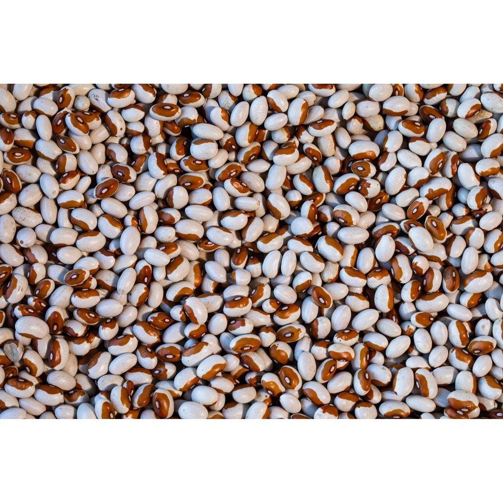 Product gallery 3871718