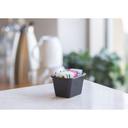 Service Ideas Black Plastic Sugar Packet Holder, 2.5 inch Width x 3.5 inch Height