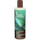 Desert Essence Tea Tree Oil Replenishing Shampoo, 12 Fluid Ounce