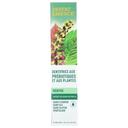 Desert Essence Mint with Perilla Seed Prebiotic Plant Based Toothpaste, 6.25 Ounce