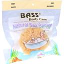 Bass Large Natural Bath Shower Sea Sponge