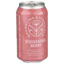Rishi Schisandra Berry Sparkling Botanical Tea, 12 Fluid Ounce -- 12 per case