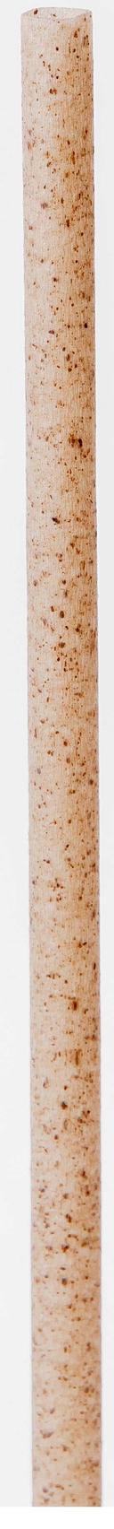 Greenprint Agave Natural Unwrapped Straw, 5.9 inch -- 2000 per case