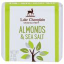 Lake Champlain Chocolates Organic Milk Sea Salt and Almond Squares, 0.4 Ounce