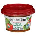 Once Upon a Farm Organic Apple Banana Kale Baby Food, 4 Fluid Ounce -- 8 per case